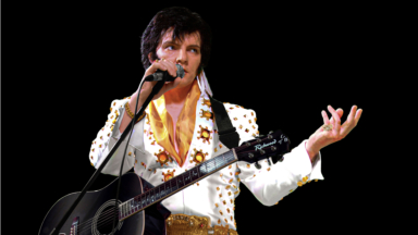 Elvis-Tribute-Boeken?
